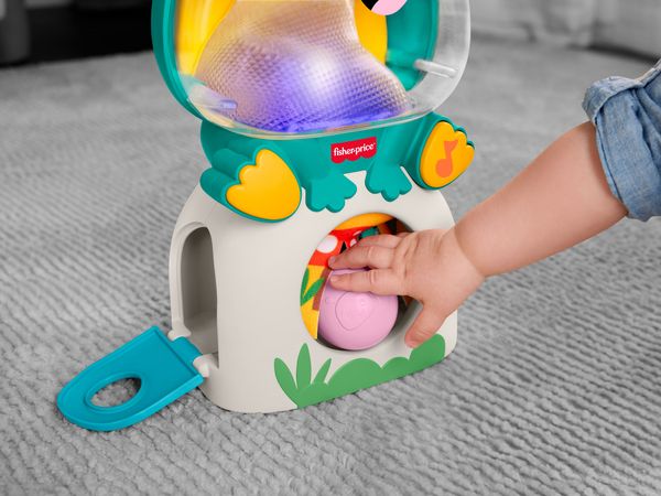 Produktbild: Fisher-Price Seek & Hide Frog.JLB96