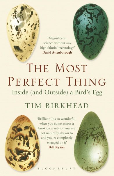 Produktbild: The Most Perfect Thing