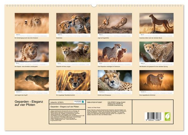 Produktbild: Geparden - Eleganz auf vier Pfoten (hochwertiger Premium Wandkalender 2026 DIN A2 quer), Kunstdruck in Hochglanz