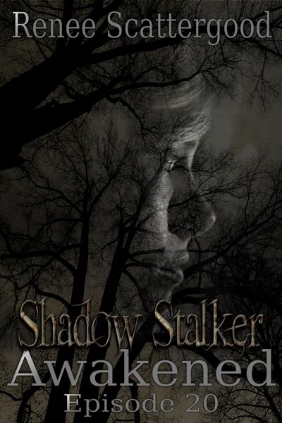 Produktbild: Shadow Stalker: Awakened (Episode 20)