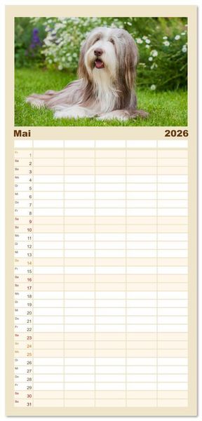 Produktbild: Familienplaner 2026 - Britische H&uuml;tehunde - Treue Freunde auf vier Pfoten mit 5 Spalten (Wandkalender, 21 x 45 cm) CALVENDO