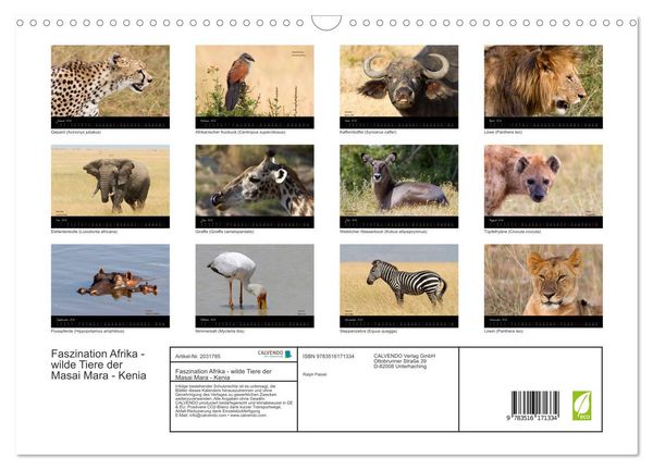 Produktbild: Faszination Afrika - wilde Tiere der Masai Mara - Kenia (Wandkalender 2026 DIN A3 quer), CALVENDO Monatskalender