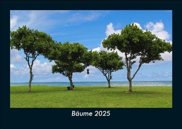 Produktbild: B&auml;ume 2025 Fotokalender DIN A5