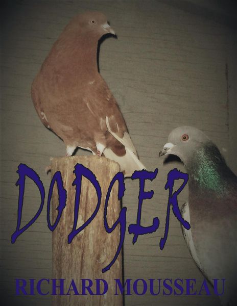 Produktbild: Dodger