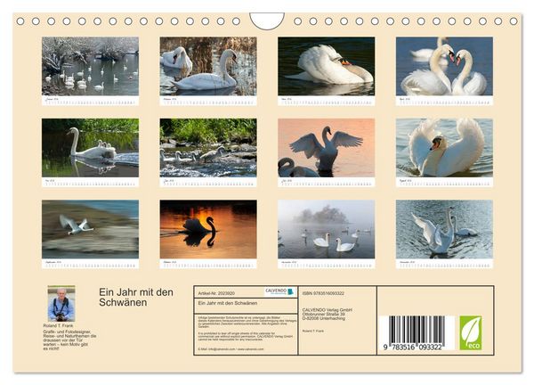 Produktbild: Ein Jahr mit den Schw&auml;nen (Wandkalender 2026 DIN A4 quer), CALVENDO Monatskalender