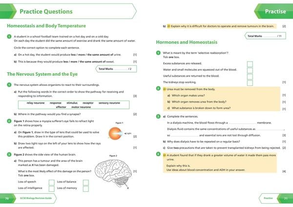 Produktbild: AQA GCSE 9-1 Biology All-in-One Complete Revision and Practice
