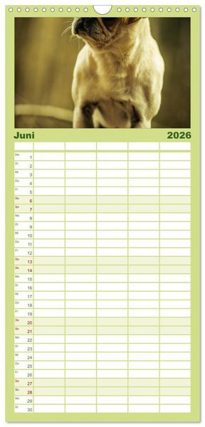 Produktbild: Familienplaner 2026 - M&ouml;pse mit 5 Spalten (Wandkalender, 21 x 45 cm) CALVENDO