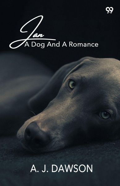 Produktbild: Jan A Dog And A Romance