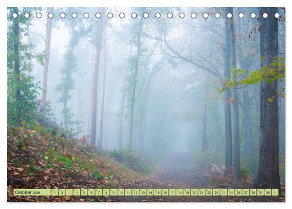 Produktbild: Gr&uuml;nes Halle/Saale - Meine wilde H&auml;ndelstadt (Tischkalender 2026 DIN A5 quer), CALVENDO Monatskalender