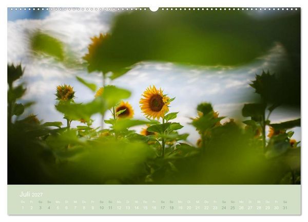 Produktbild: Zeitenwandel - Ein Jahr in der Natur (hochwertiger Premium Wandkalender 2027 DIN A2 quer), Kunstdruck in Hochglanz