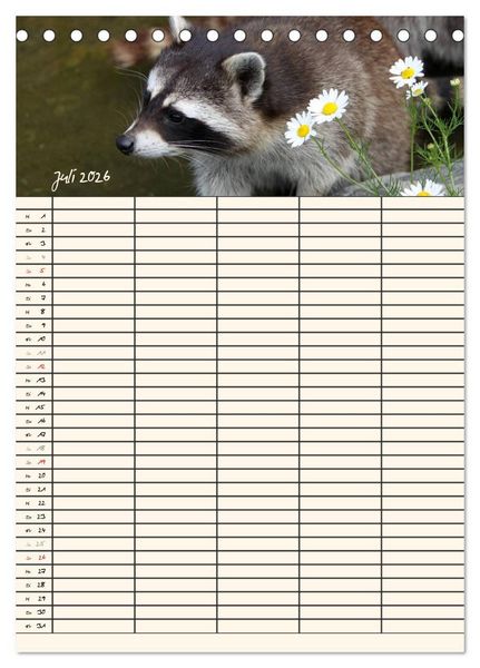 Produktbild: Waschb&auml;ren Familienplaner (Tischkalender 2026 DIN A5 hoch), CALVENDO Monatskalender