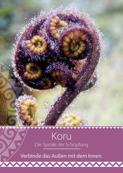 Produktbild: Maori - Heilsame Botschaften der Ureinwohner Neuseelands
