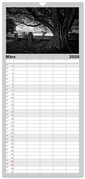 Produktbild: Familienplaner 2026 - Gothic Fantasy mit 5 Spalten (Wandkalender, 21 x 45 cm) CALVENDO