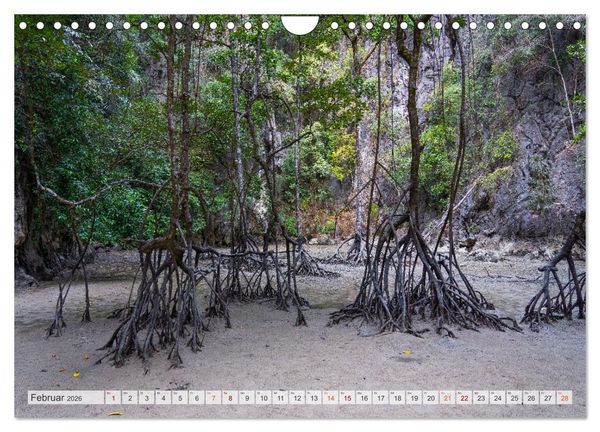 Produktbild: Thailand - Die Sch&ouml;nheit Asiens (Wandkalender 2026 DIN A4 quer), CALVENDO Monatskalender