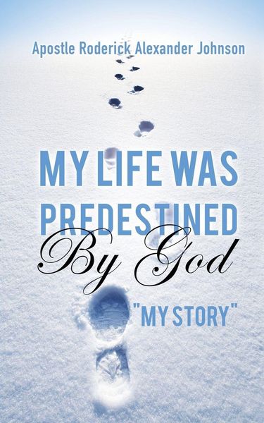 Produktbild: My Life Was Predestined By God