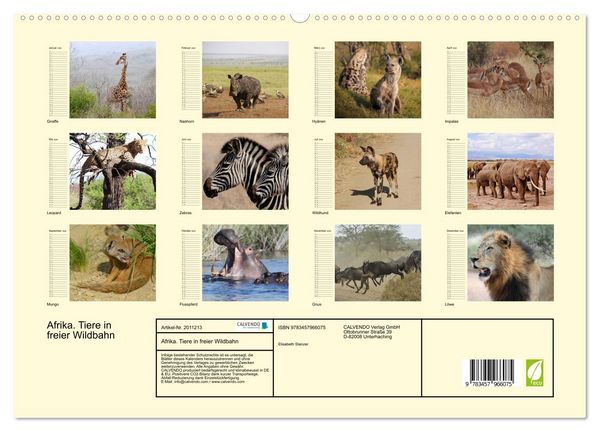 Produktbild: Afrika. Tiere in freier Wildbahn (hochwertiger Premium Wandkalender 2026 DIN A2 quer), Kunstdruck in Hochglanz