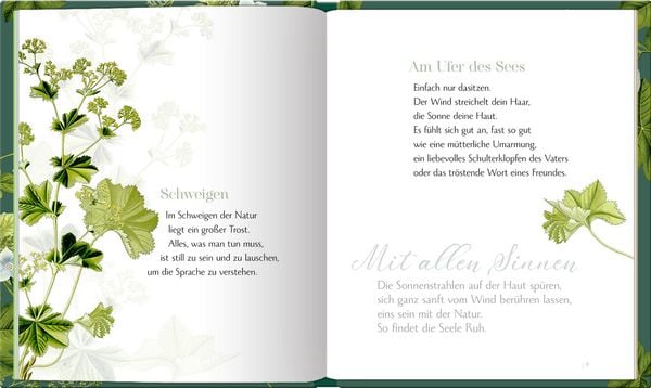 Produktbild: Erinnerung ist Liebe, die bleibt