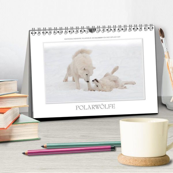 Produktbild: Emotionale Momente: Polarw&ouml;lfe. / CH-Version (Tischkalender 2026 DIN A5 quer), CALVENDO Monatskalender