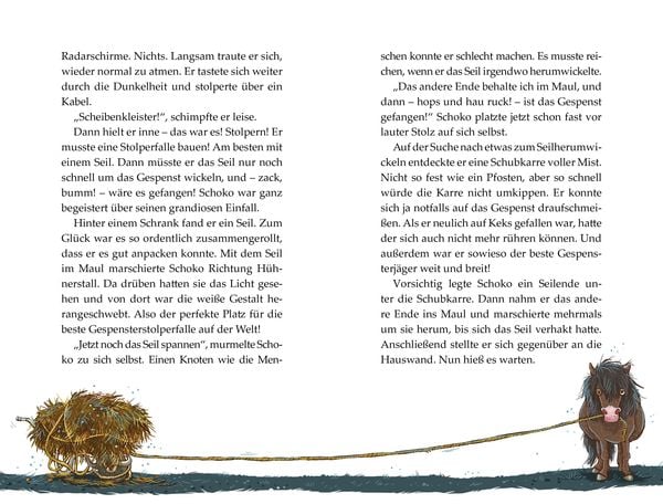 Produktbild: Flausen im Schopf / Die Haferhorde Band 1