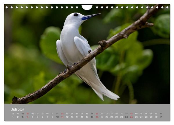 Produktbild: Seychellen (Wandkalender 2027 DIN A4 quer), CALVENDO Monatskalender
