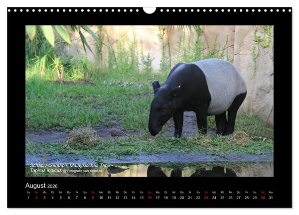 Produktbild: Wildtiere (Wandkalender 2026 DIN A3 quer), CALVENDO Monatskalender