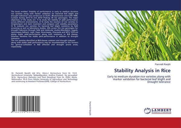 Produktbild: Stability Analysis in Rice