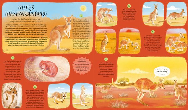 Produktbild: Der Lauf der Natur