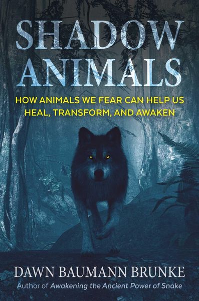 Produktbild: Shadow Animals