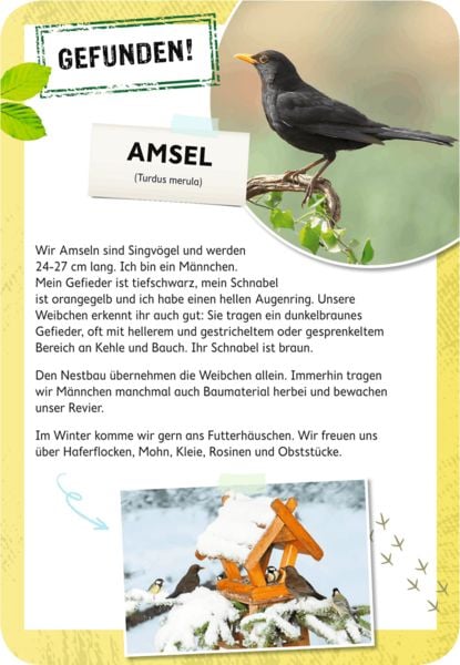 Produktbild: Expedition Natur Tierische Berufe raten