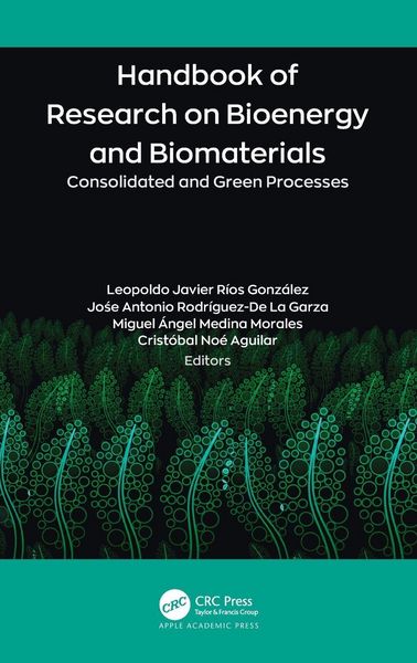 Produktbild: Handbook of Research on Bioenergy and Biomaterials