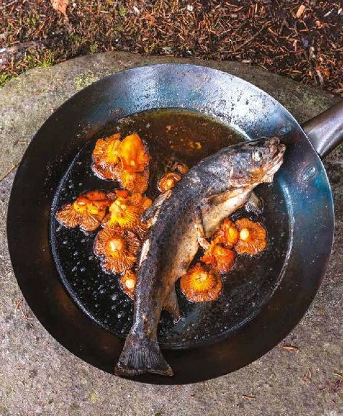 Produktbild: Koch drau&szlig;en! &Uuml;ber 100 Rezepte f&uuml;r jedes Wetter