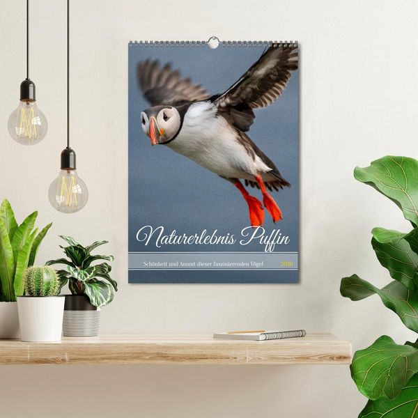 Produktbild: Naturerlebnis Puffin (Wandkalender 2026 DIN A3 hoch), CALVENDO Monatskalender