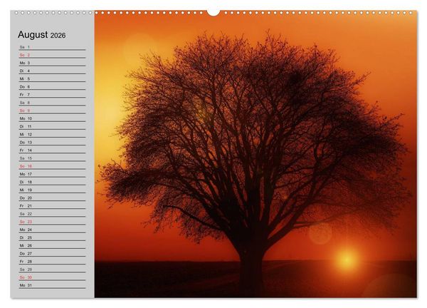 Produktbild: Magische B&auml;ume (Wandkalender 2026 DIN A2 quer), CALVENDO Monatskalender