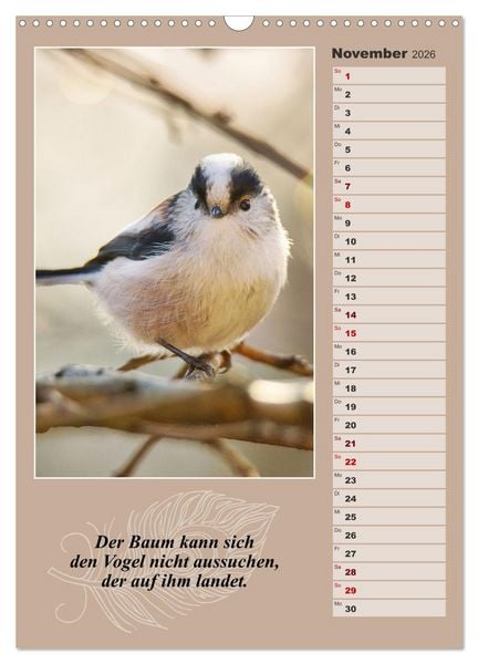 Produktbild: Schwanzmeisen, die niedlichen kleinen Pfannenstielchen (Wandkalender 2026 DIN A3 hoch), CALVENDO Monatskalender