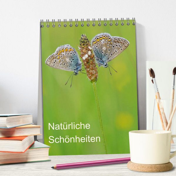 Produktbild: Insekten,Sch&ouml;nheiten der Natur (Tischkalender 2026 DIN A5 hoch), CALVENDO Monatskalender