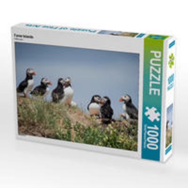 CALVENDO Puzzle Farne Islands | 1000 Teile Lege-Größe 64x48cm Foto-Puzzle für glückliche Stunden