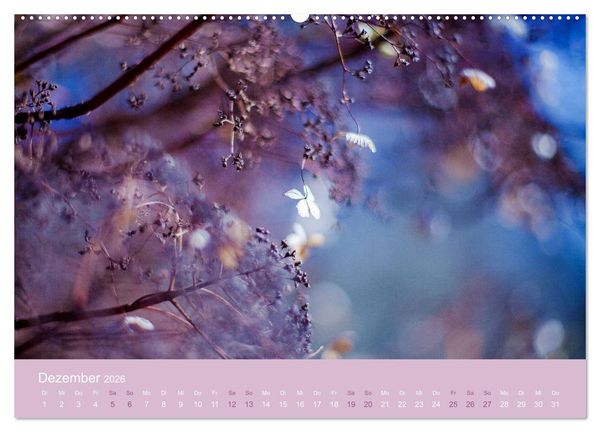 Produktbild: Zeitenwandel - Ein Jahr in der Natur (hochwertiger Premium Wandkalender 2026 DIN A2 quer), Kunstdruck in Hochglanz