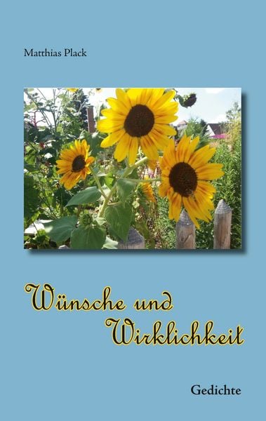 Wünsche und Wirklichkeit, Taschenbuch von Matthias Plack, BoD – Books on Demand, 9783741268267
