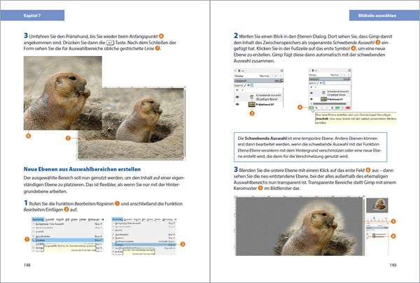 Produktbild: GIMP - Einstieg und Praxis