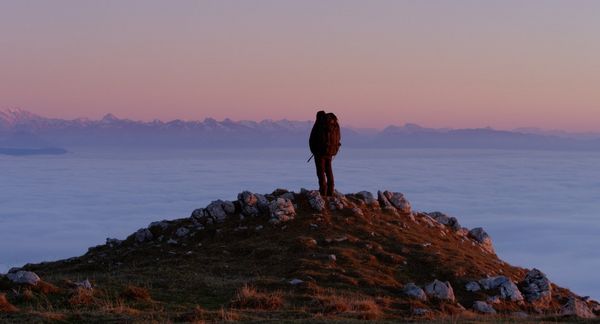 Produktbild: Wolf Walk - Auf der Spur der W&ouml;lfe