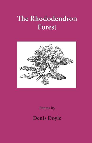 Produktbild: The Rhododendron Forest