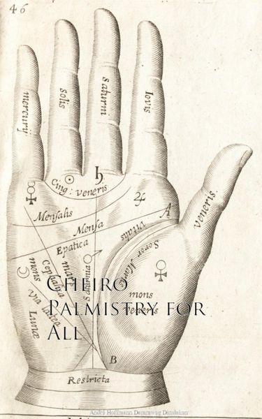 Produktbild: Palmistry for All