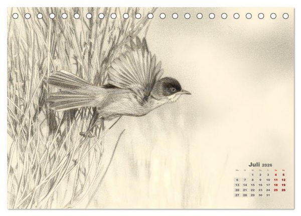 Produktbild: Wilde Seelen - Tierische Momente in Graphit (Tischkalender 2026 DIN A5 quer), CALVENDO Monatskalender