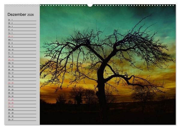 Produktbild: Magische B&auml;ume (hochwertiger Premium Wandkalender 2026 DIN A2 quer), Kunstdruck in Hochglanz