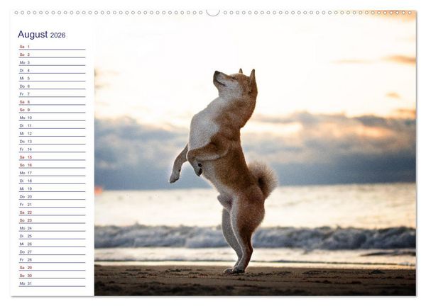 Produktbild: Japans Seelenhunde (Wandkalender 2026 DIN A2 quer), CALVENDO Monatskalender
