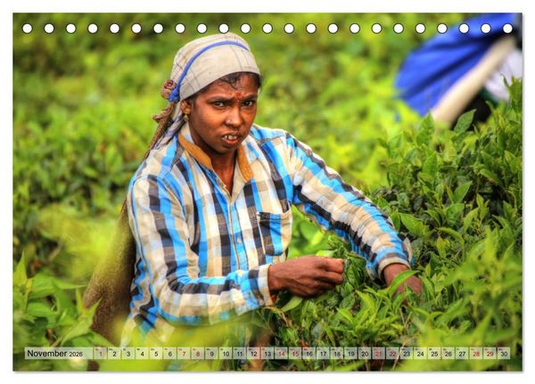 Produktbild: Sri Lanka - Tempel, Tee und Elefanten (Tischkalender 2026 DIN A5 quer), CALVENDO Monatskalender
