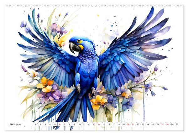 Produktbild: Papageien - Fliegende Edelsteine (Wandkalender 2026 DIN A2 quer), CALVENDO Monatskalender