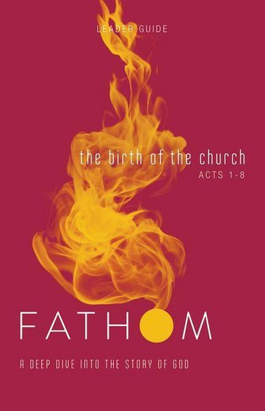Produktbild: Fathom Bible Studies: The Birth of the Church Leader Guide (Luke 24-Acts 8)