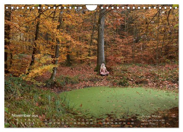 Produktbild: HAIKU AM TEICH (Wandkalender 2026 DIN A4 quer), CALVENDO Monatskalender