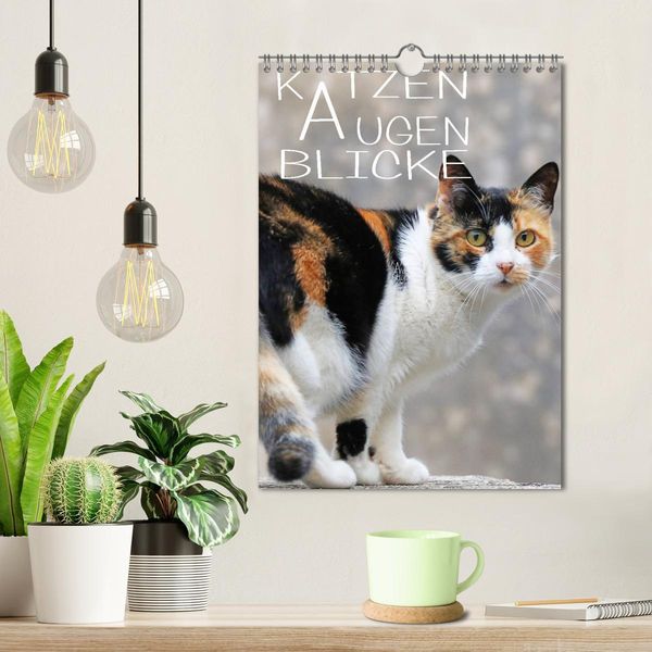 Produktbild: KATZEN AUGEN BLICKE (Wandkalender 2026 DIN A4 hoch), CALVENDO Monatskalender